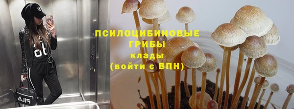 не бодяженный Белокуриха