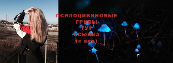 не бодяженный Белокуриха
