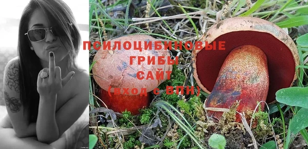 не бодяженный Белокуриха