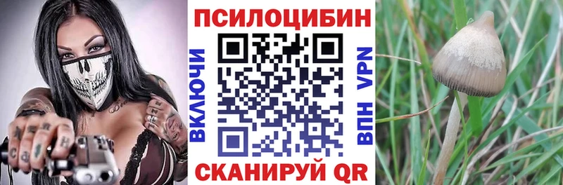 Галлюциногенные грибы Magic Shrooms  как найти   Вязники 
