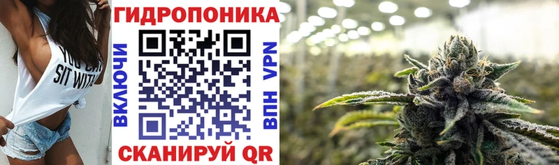 цены наркотик  Вязники  Шишки марихуана ГИДРОПОН 